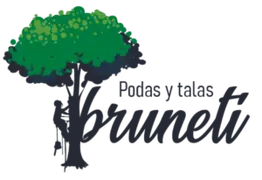Podas y talas árboles en altura