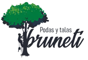 Podas y tala en altura de árboles